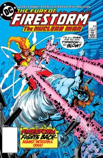 Cover of The Fury of Firestorm #44