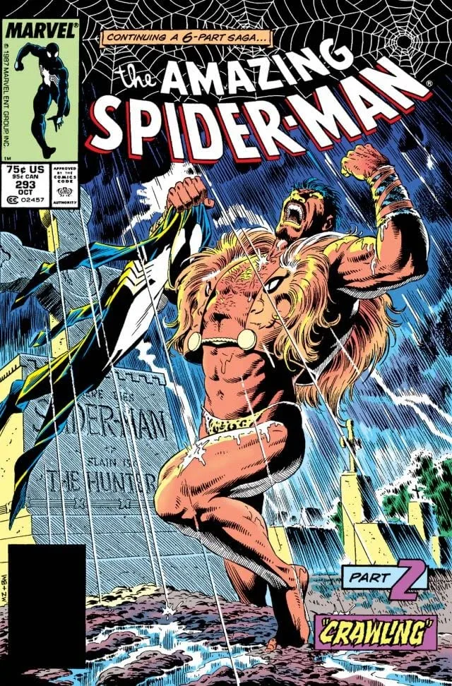 Cover of The Amazing Spider-Man #293