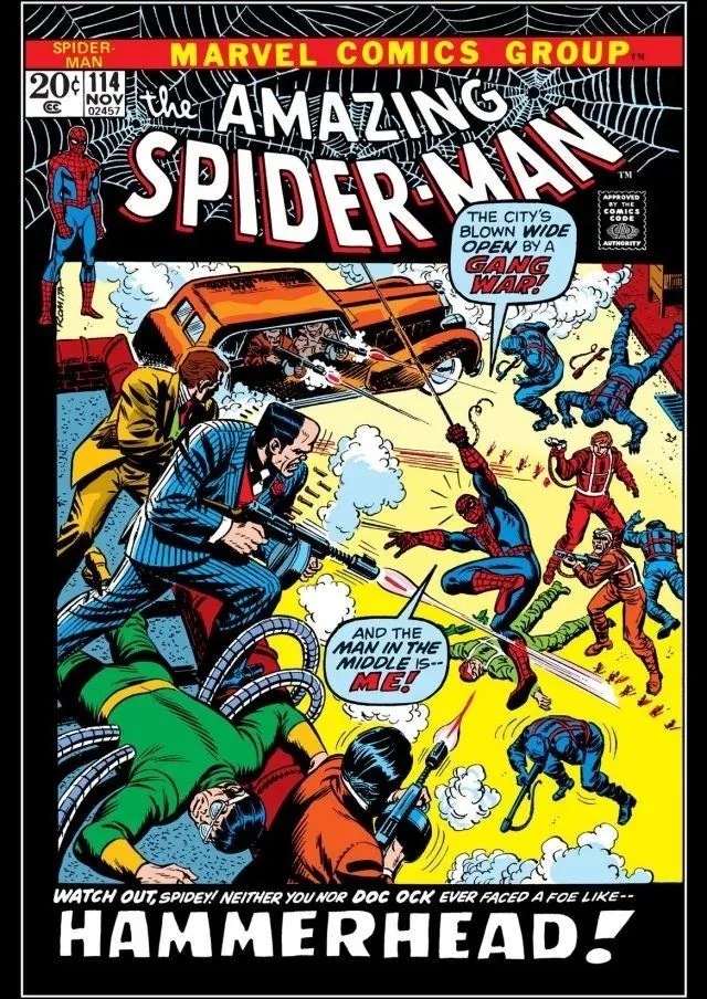 Cover of The Amazing Spider-Man #114