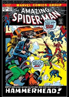 Cover of The Amazing Spider-Man #114