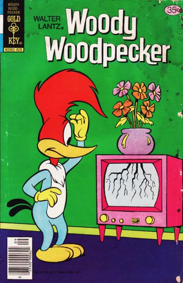 Cover of Walter Lantz Woody Woodpecker #170