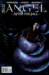 Cover of Angel: After the Fall #14