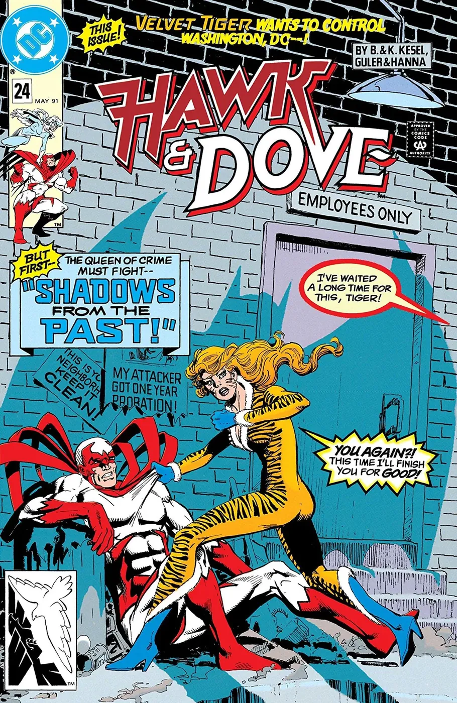 Cover of Hawk and Dove #24