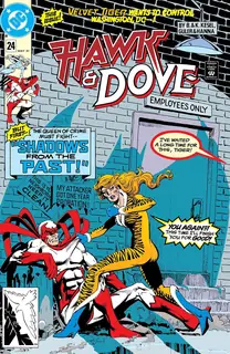 Cover of Hawk and Dove #24
