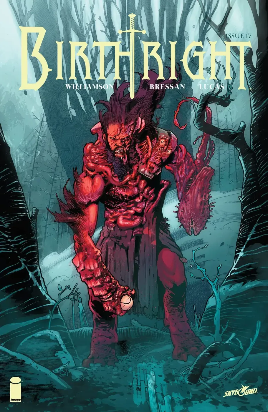 Cover of Birthright #17