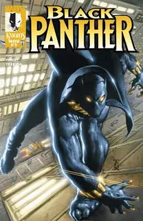 Cover of Black Panther #1