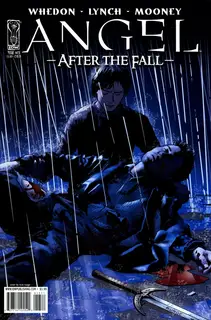 Cover of Angel: After the Fall #13