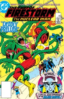 Cover of The Fury of Firestorm #46