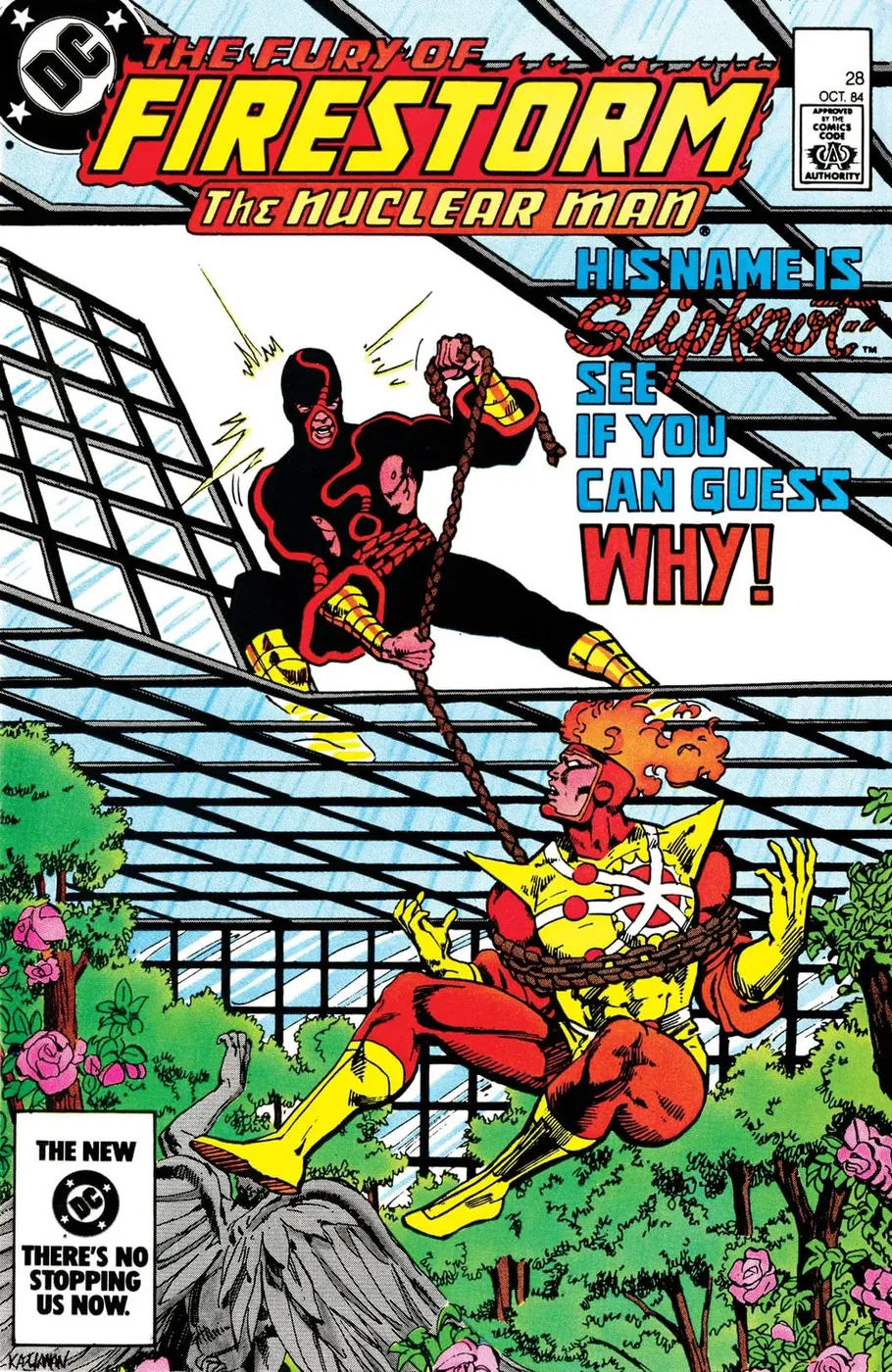 Cover of The Fury of Firestorm #28