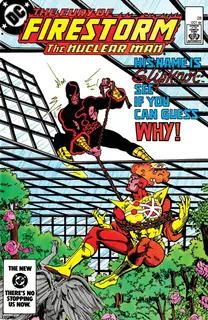 Cover of The Fury of Firestorm #28