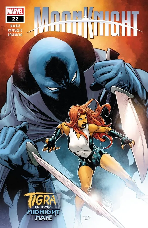Cover of Moon Knight #22