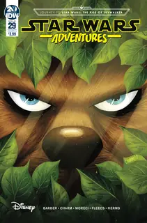 Cover of Star Wars Adventures #29