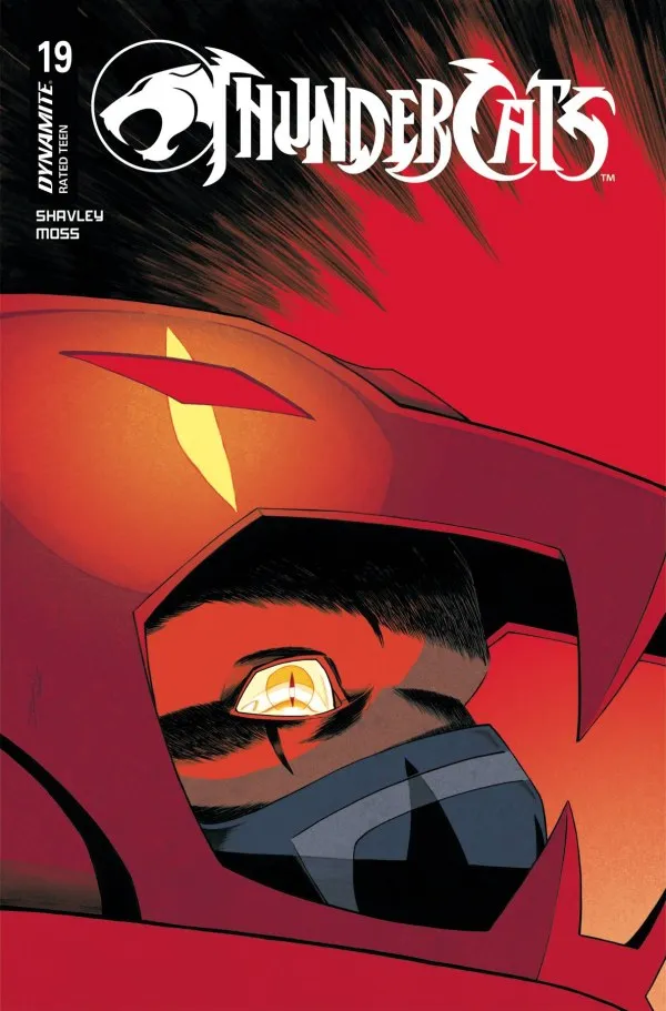 Cover of ThunderCats #19