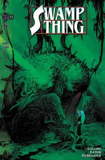 Cover of Swamp Thing #135