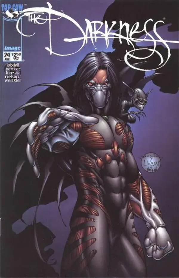 Cover of The Darkness #24