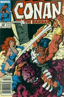 Cover of Conan the Barbarian #204