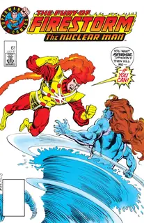 Cover of The Fury of Firestorm #61
