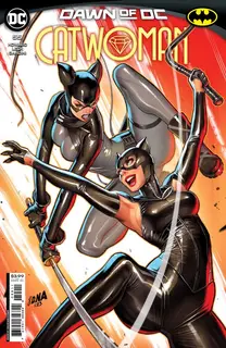 Cover of Catwoman #55