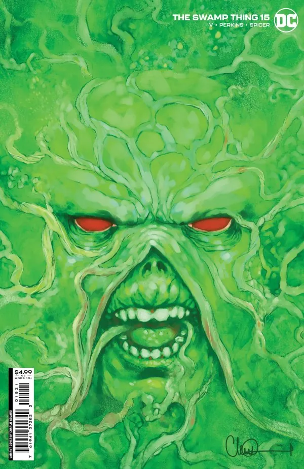 Cover of The Swamp Thing #15