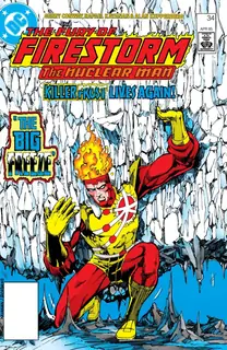 Cover of The Fury of Firestorm #34