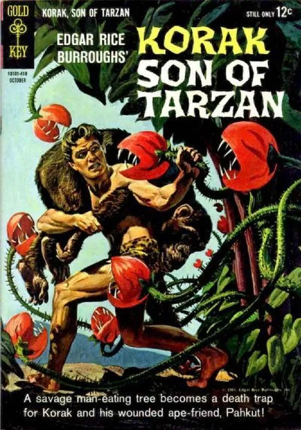Cover of Edgar Rice Burroughs Korak, Son of Tarzan #5