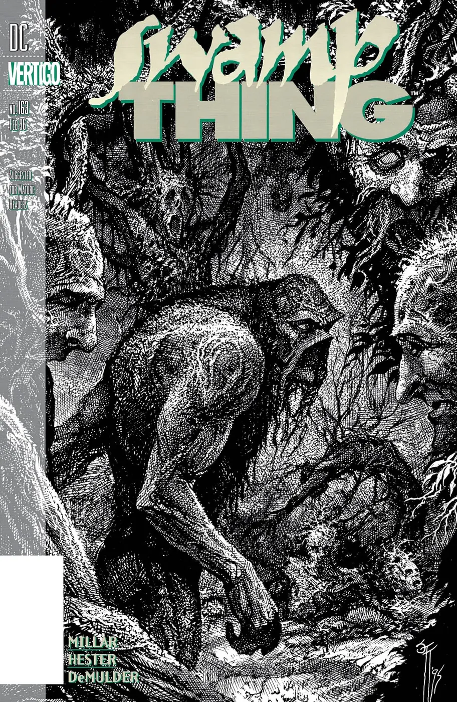 Cover of Swamp Thing #163
