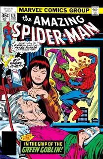 Cover of The Amazing Spider-Man #178