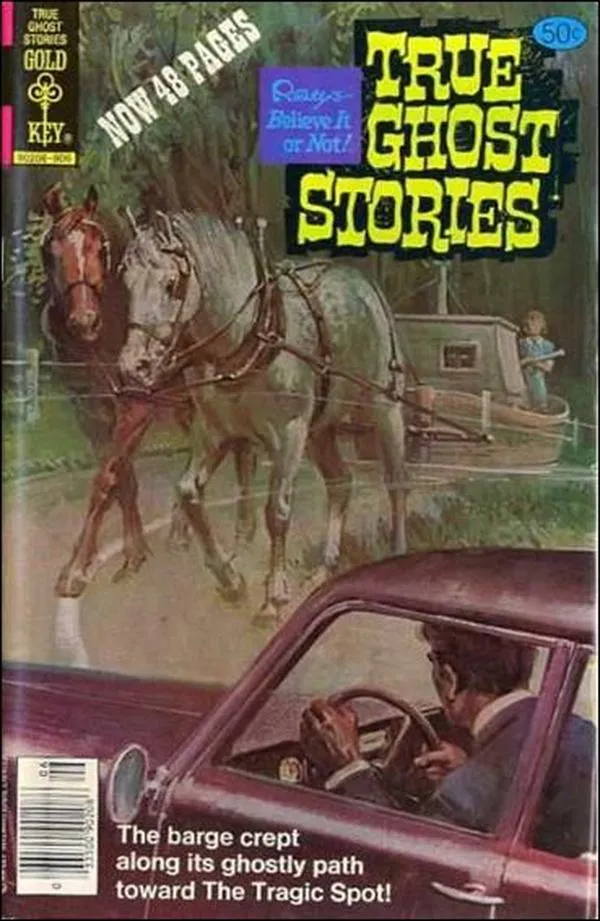 Cover of Ripley's Believe It or Not! #78