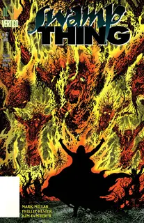 Cover of Swamp Thing #167