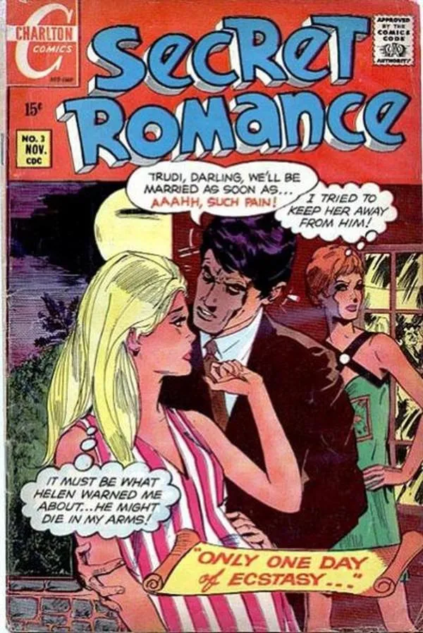 Cover of Secret Romance #1