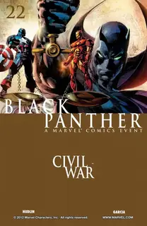 Cover of Black Panther #22