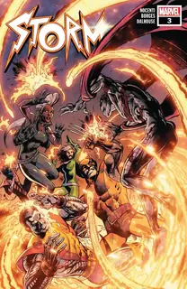 Cover of Storm #3