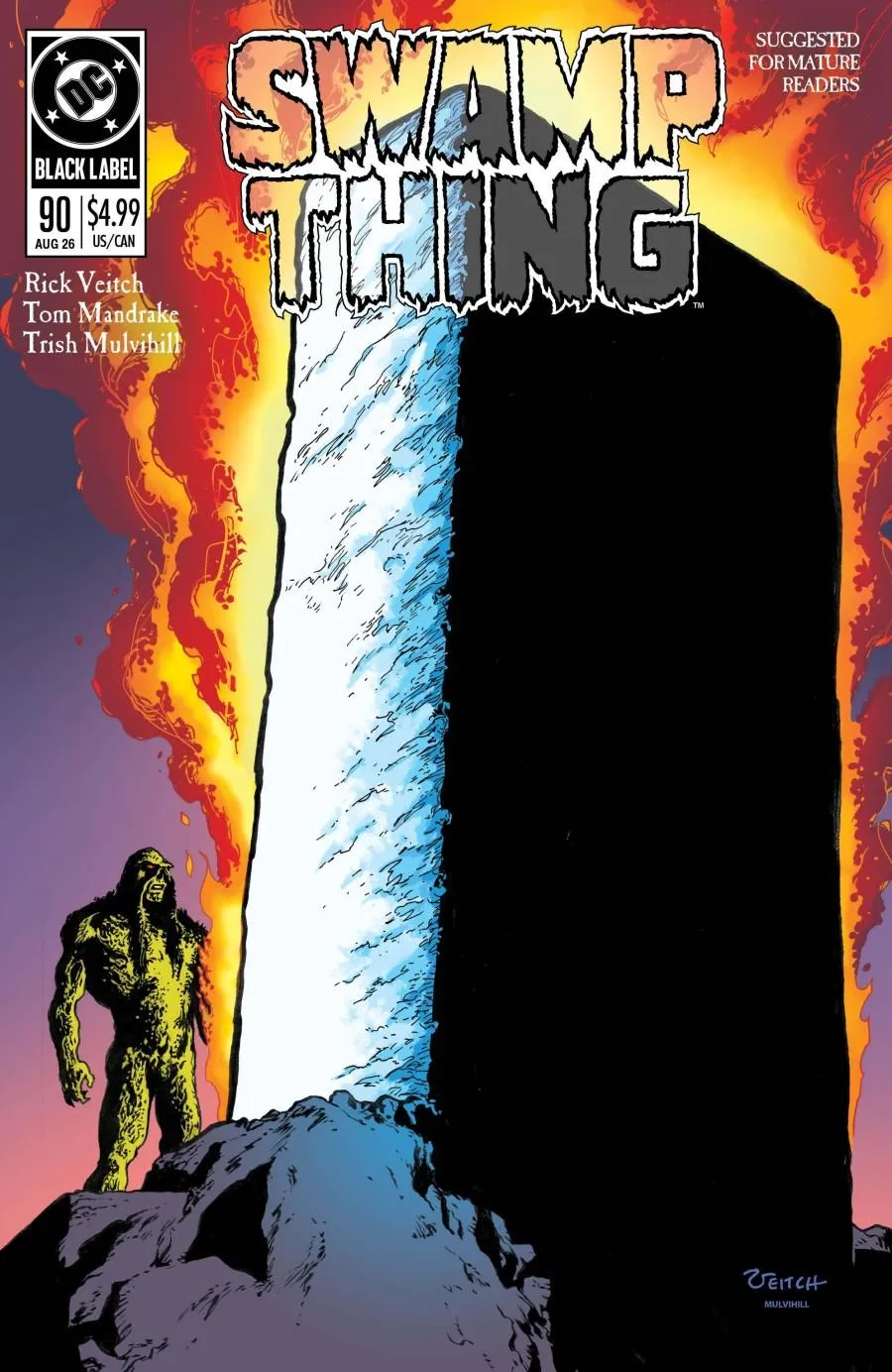 Cover of Swamp Thing 1989 #3 (90)