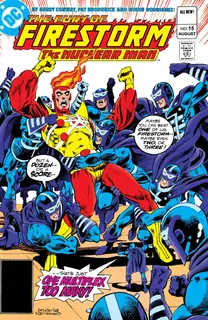 Cover of The Fury of Firestorm #15