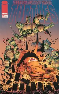 Cover of Teenage Mutant Ninja Turtles #19