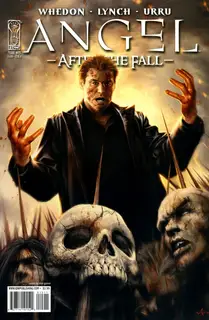 Cover of Angel: After the Fall #15
