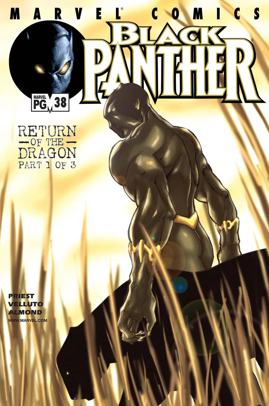 Cover of Black Panther #38