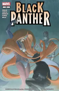 Cover of Black Panther #20