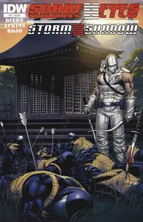 Cover of Snake Eyes and Storm Shadow #21
