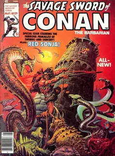 Cover of The Savage Sword of Conan #29