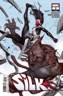 Cover of Silk #2