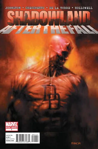 Cover of Shadowland: After the Fall #1