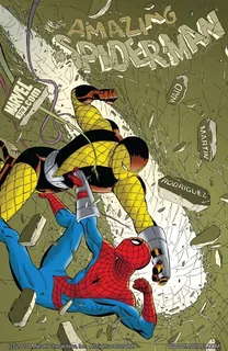 Cover of The Amazing Spider-Man #579