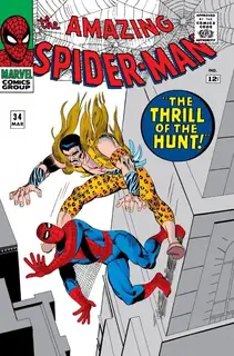 Cover of The Amazing Spider-Man #34