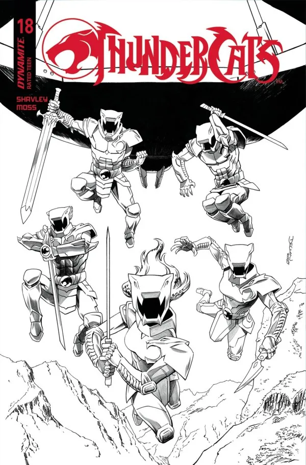 Cover of ThunderCats #18