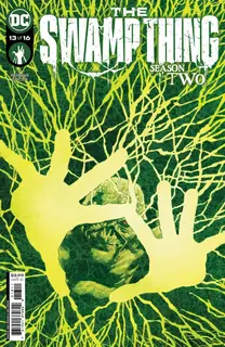 Cover of The Swamp Thing #13
