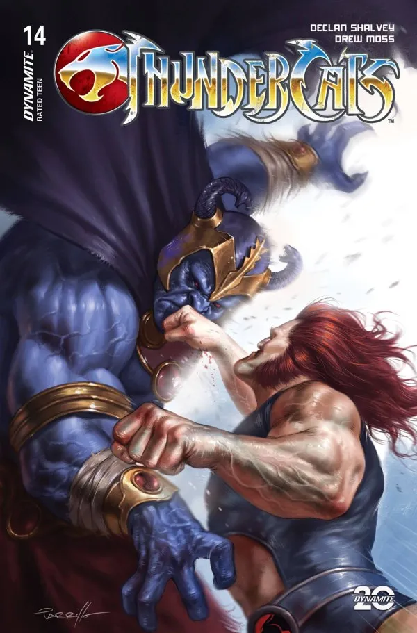 Cover of ThunderCats #14
