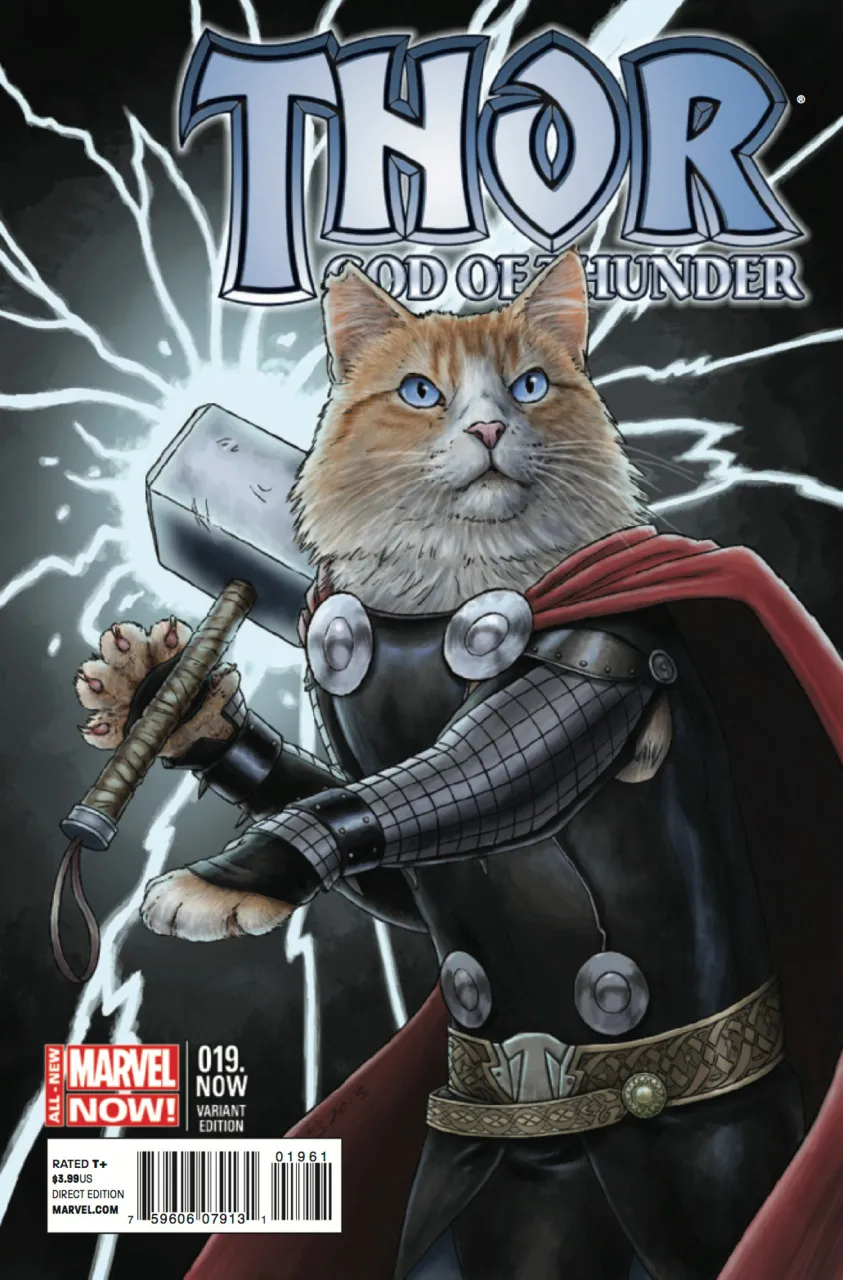 Cover of Thor: God of Thunder #19