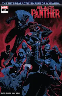 Cover of Black Panther #20 (192)