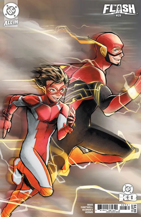 Cover of The Flash #29